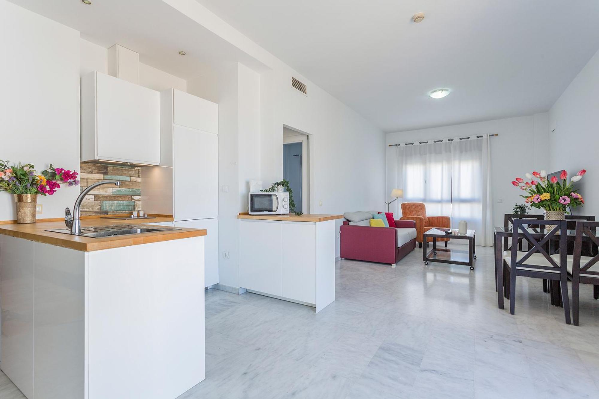 Aticos Lux Sevilla Piscina Parking